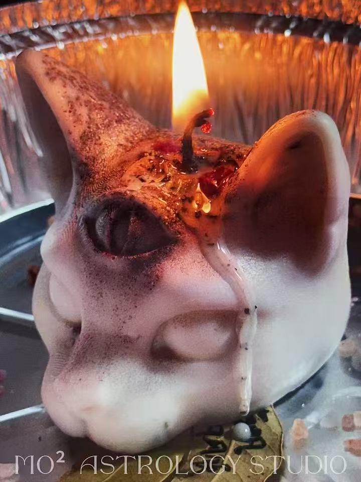 三眼灵猫